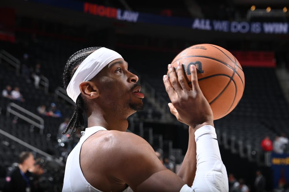 动爱好者们 动爱好者们